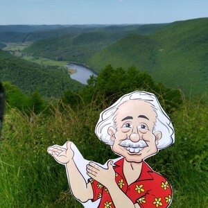 amanda fansler-deluca